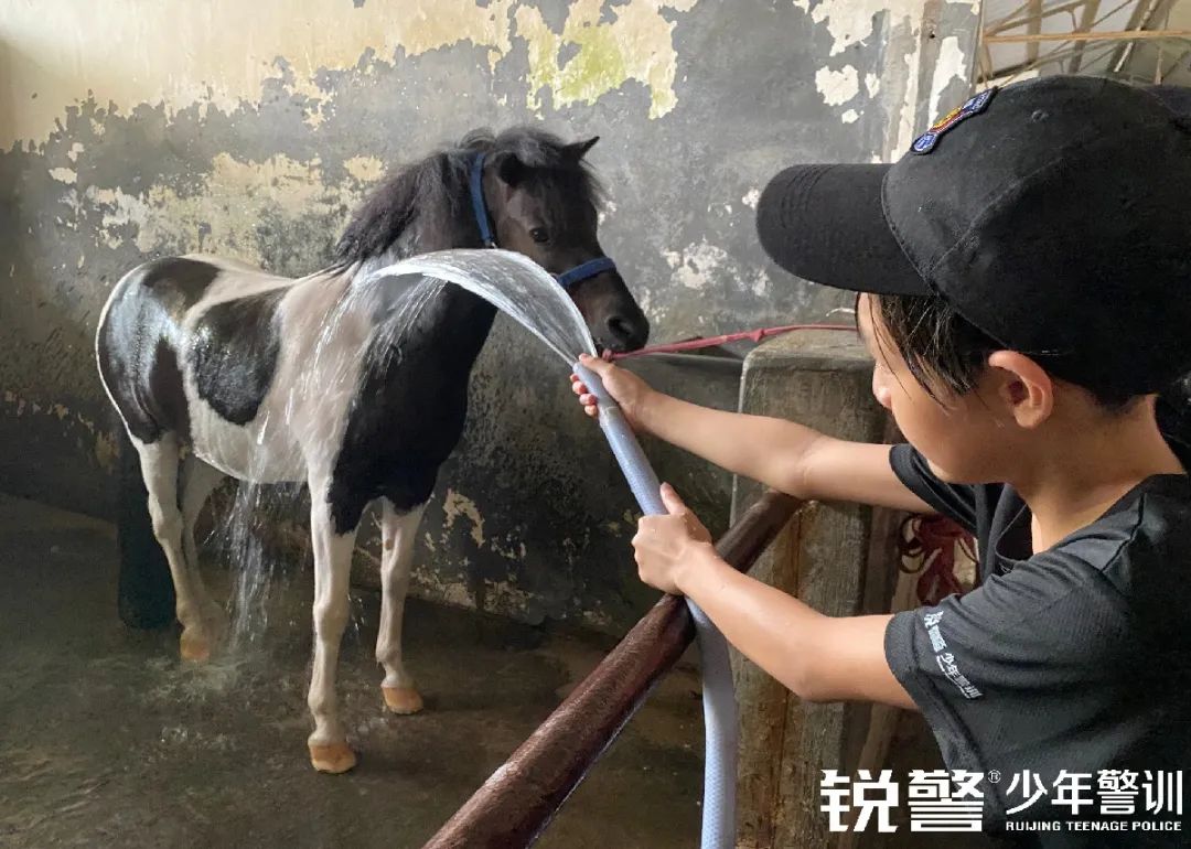 銳警少(shǎo)年(nián)警訓夏令營:雛鷹新飛(fēi),溫室小(xiǎo)花(huā)蛻變之旅,成長(cháng)的(de)力量