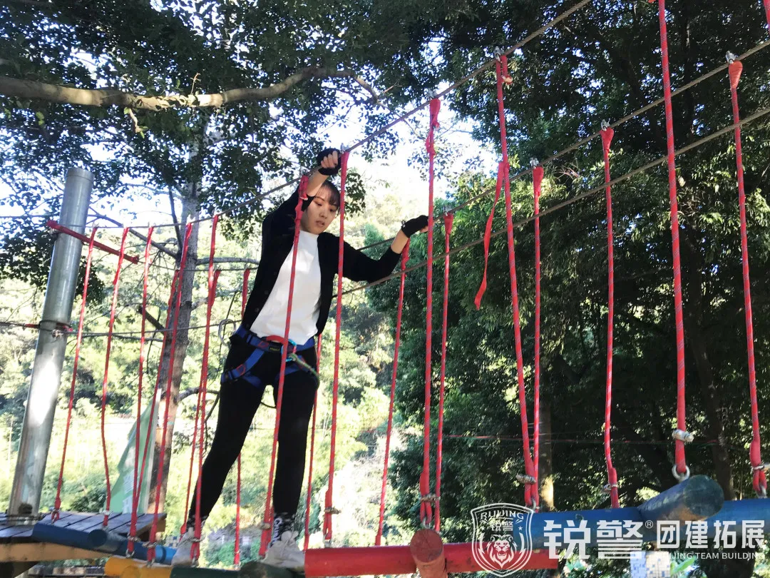 銳警團建：“學黨史 強信念 跟黨走”城(chéng)投集團2021年(nián)團幹部拓展培訓