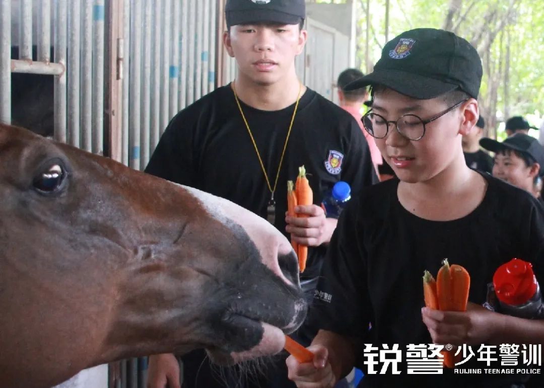 銳警少(shǎo)年(nián)警訓夏令營:雛鷹新飛(fēi),溫室小(xiǎo)花(huā)蛻變之旅,成長(cháng)的(de)力量