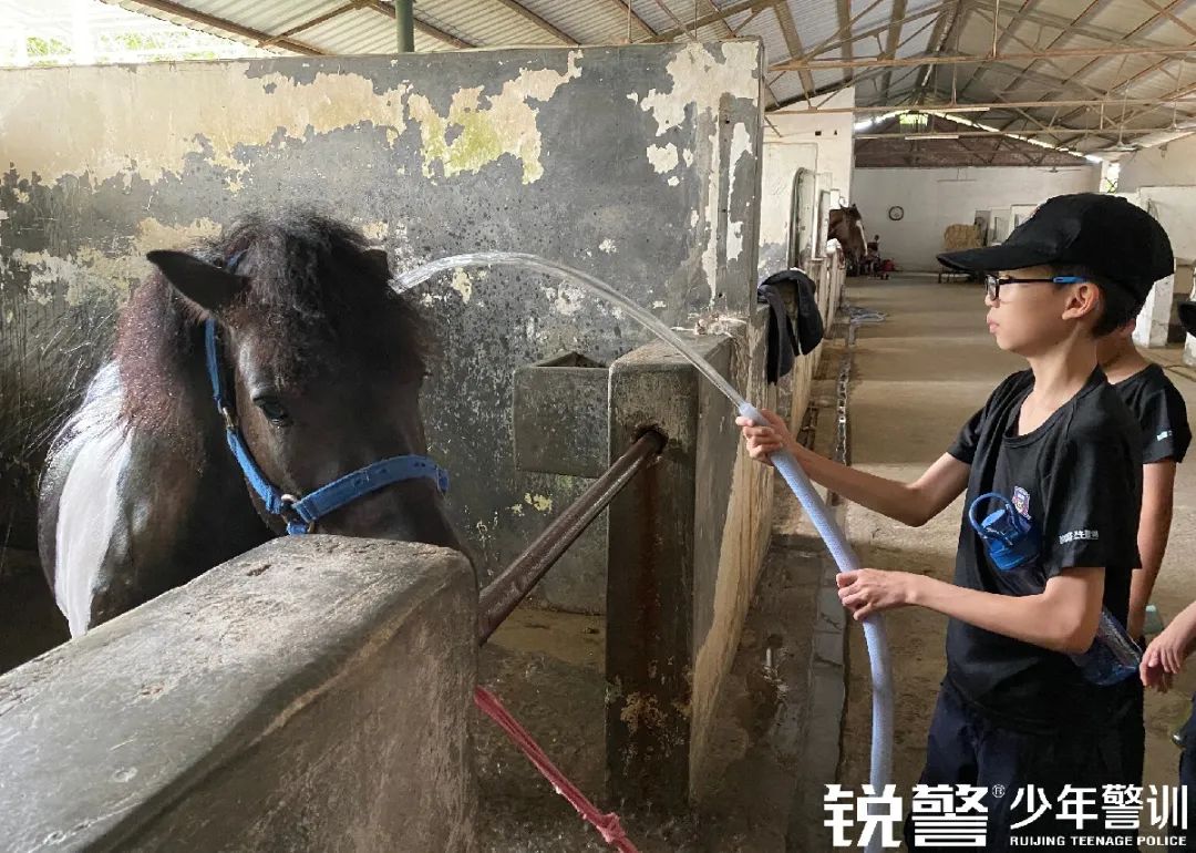 銳警少(shǎo)年(nián)警訓夏令營:雛鷹新飛(fēi),溫室小(xiǎo)花(huā)蛻變之旅,成長(cháng)的(de)力量